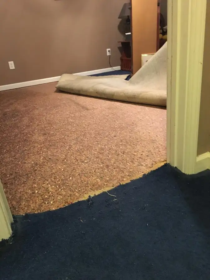 Carpet pad removal revealing water damage during Water Mitigation Services in Winchester
