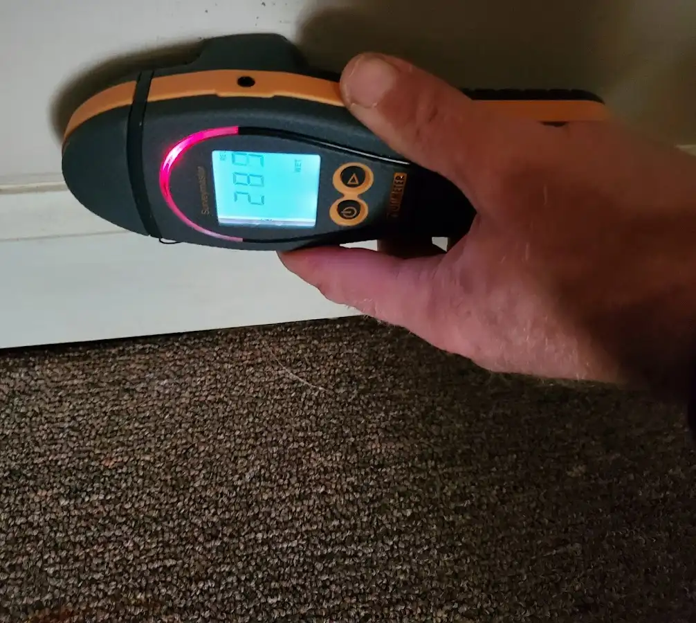 Moisture detection at baseboard during Mold Inspection & Testing in Winchester